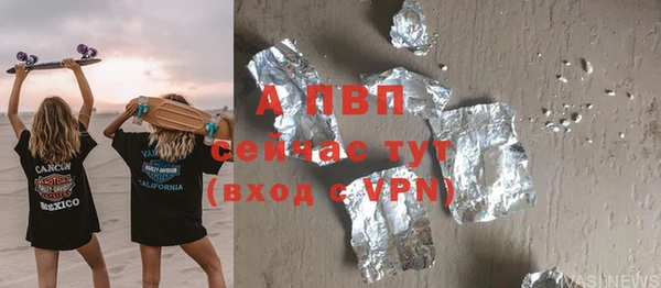 стаф Пересвет